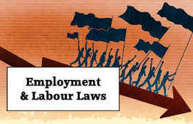 Labour Law