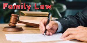 Family Lawyers
